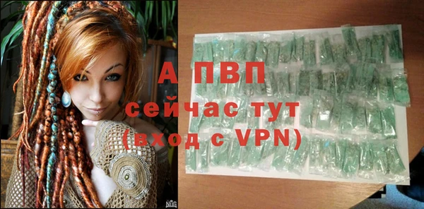 спайс Дмитриев
