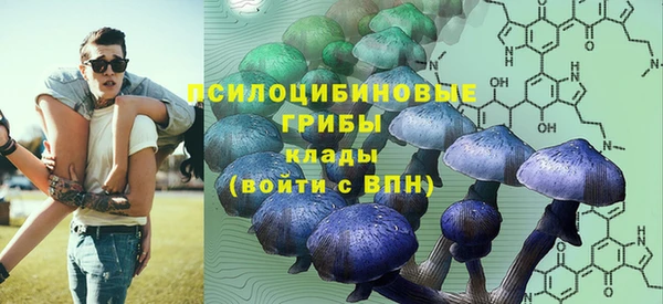 амф Дмитров