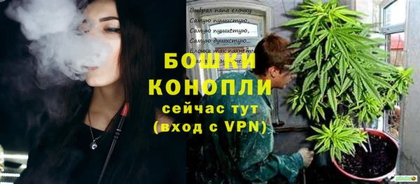 спайс Дмитриев