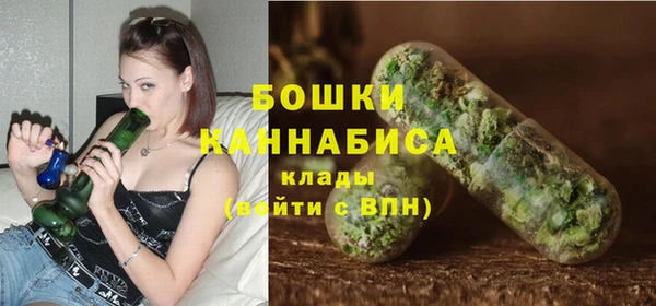 амф Дмитров