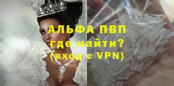 спайс Дмитриев